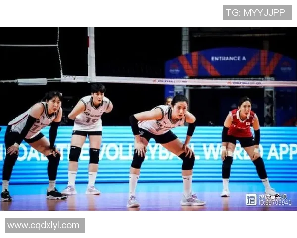 杭州排球队防守反击新策略揭秘助力球队崛起与发展